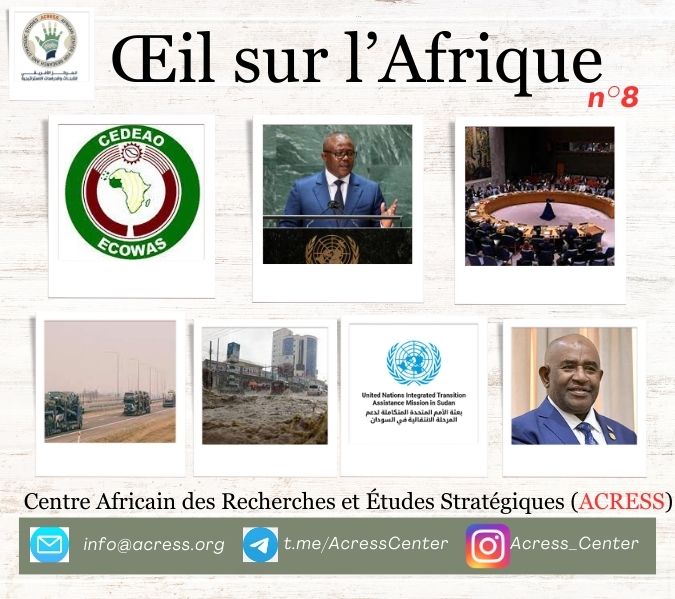 Œil sur l’Afrique n°8